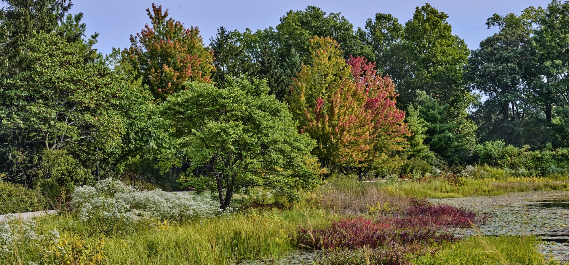 The Morton Arboretum