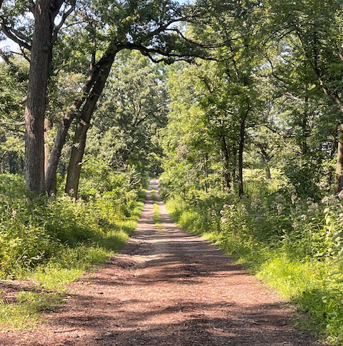 The Morton Arboretum