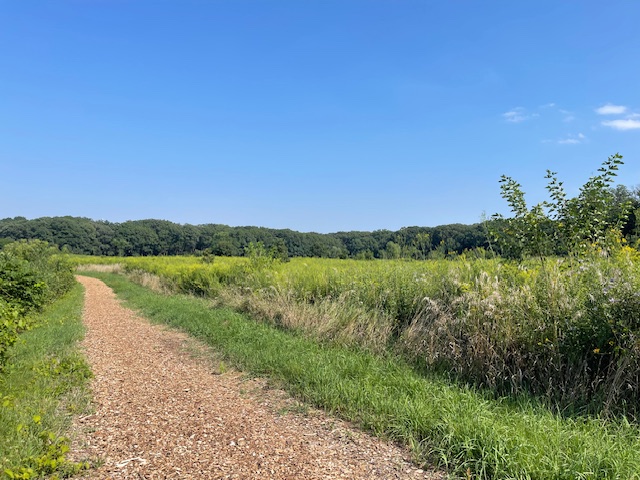 The Morton Arboretum