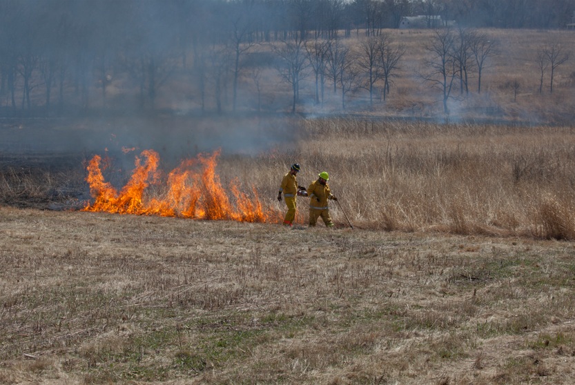 The Morton Arboretum