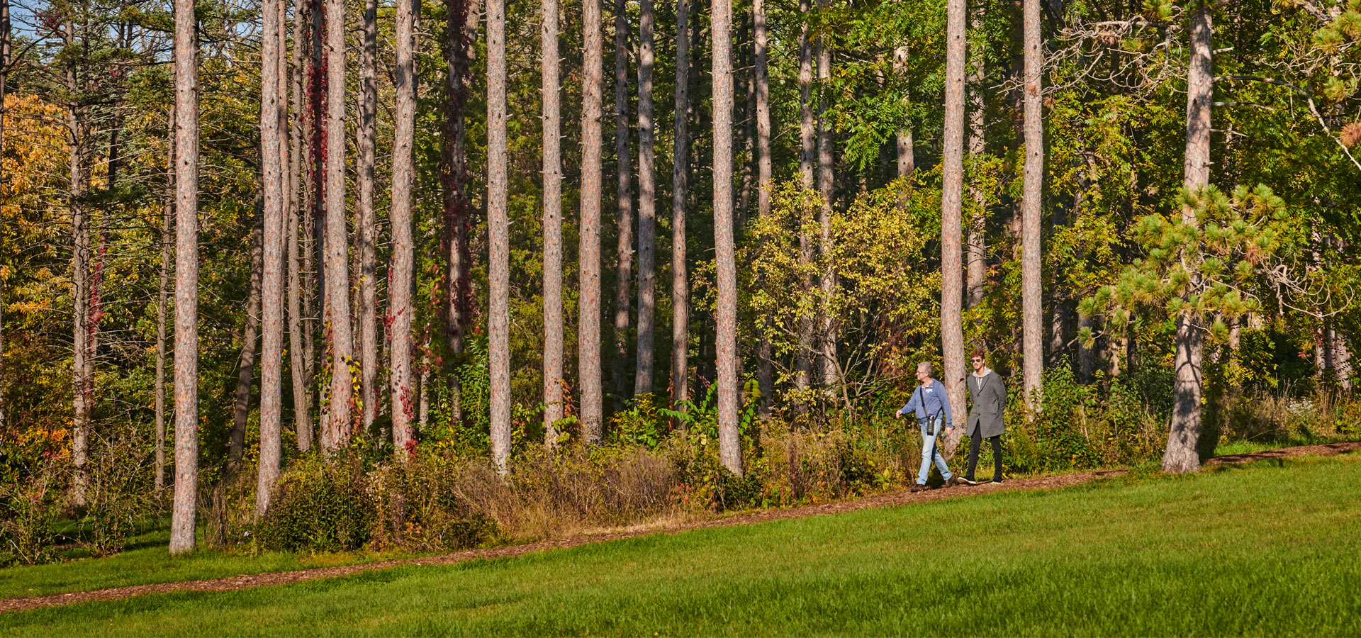 The Morton Arboretum
