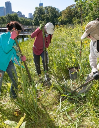 The Morton Arboretum
