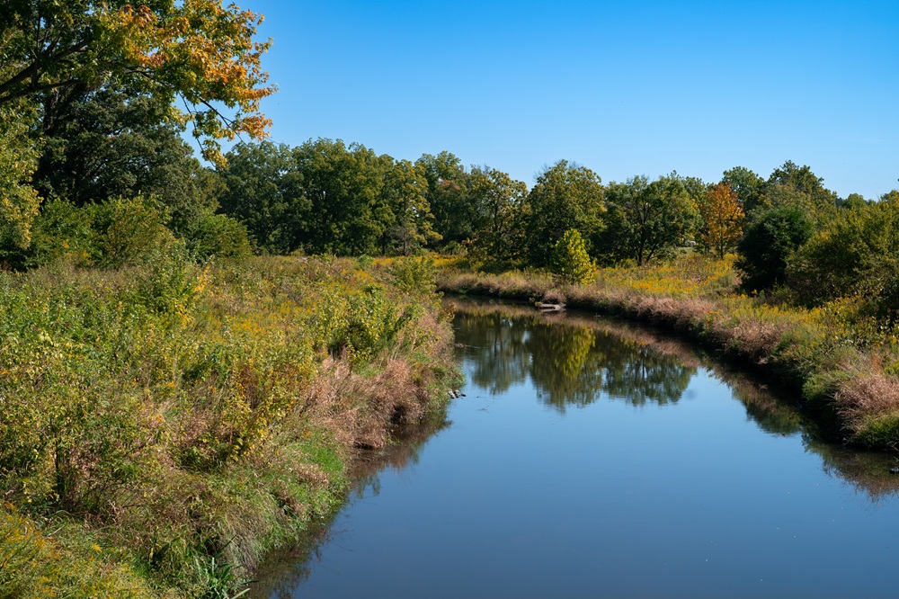 The Morton Arboretum