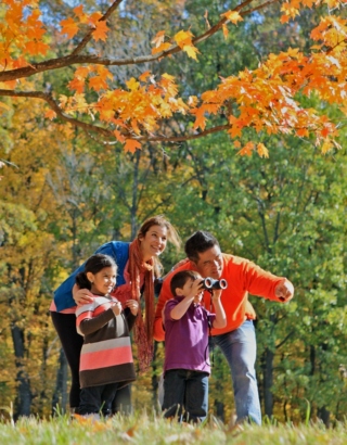 The Morton Arboretum