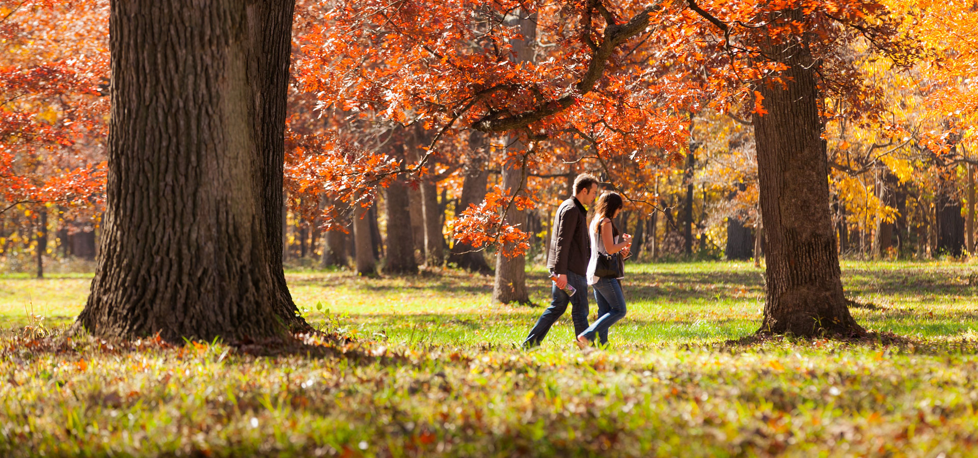 The Morton Arboretum