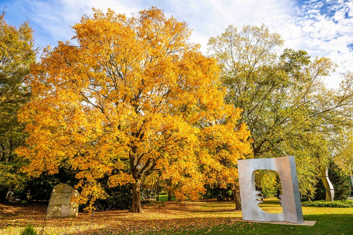 The Morton Arboretum