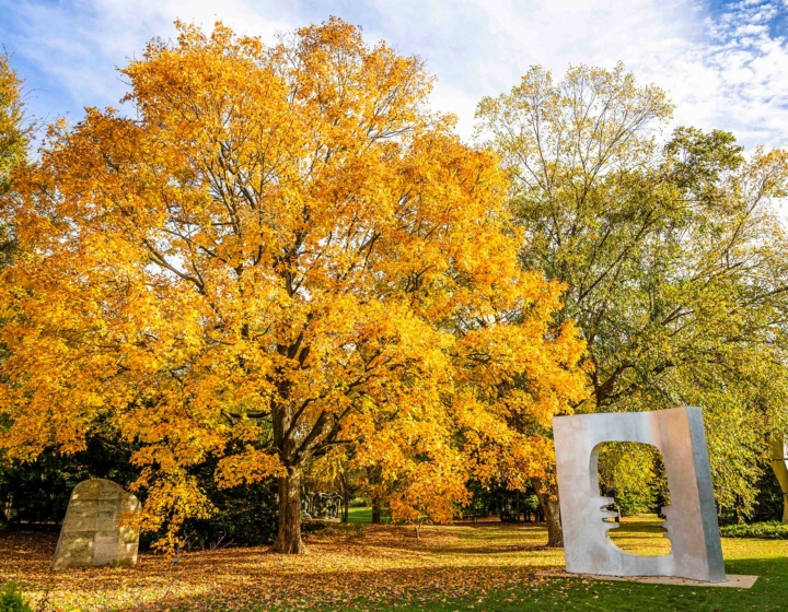 The Morton Arboretum