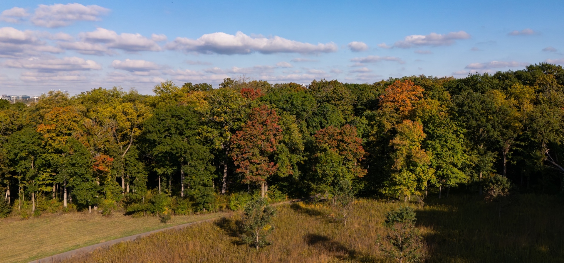 The Morton Arboretum