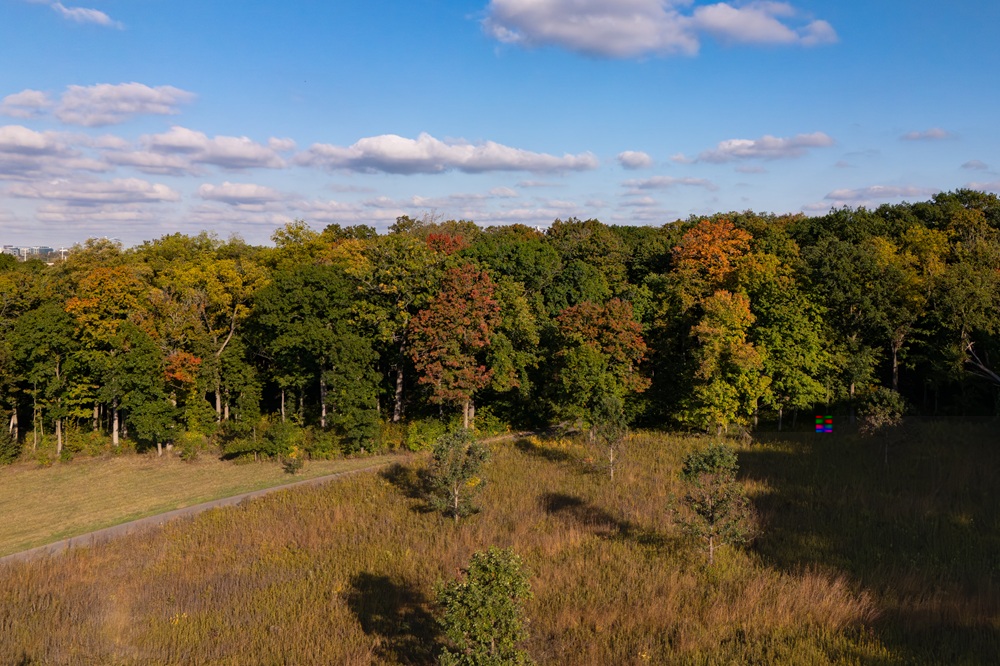 The Morton Arboretum