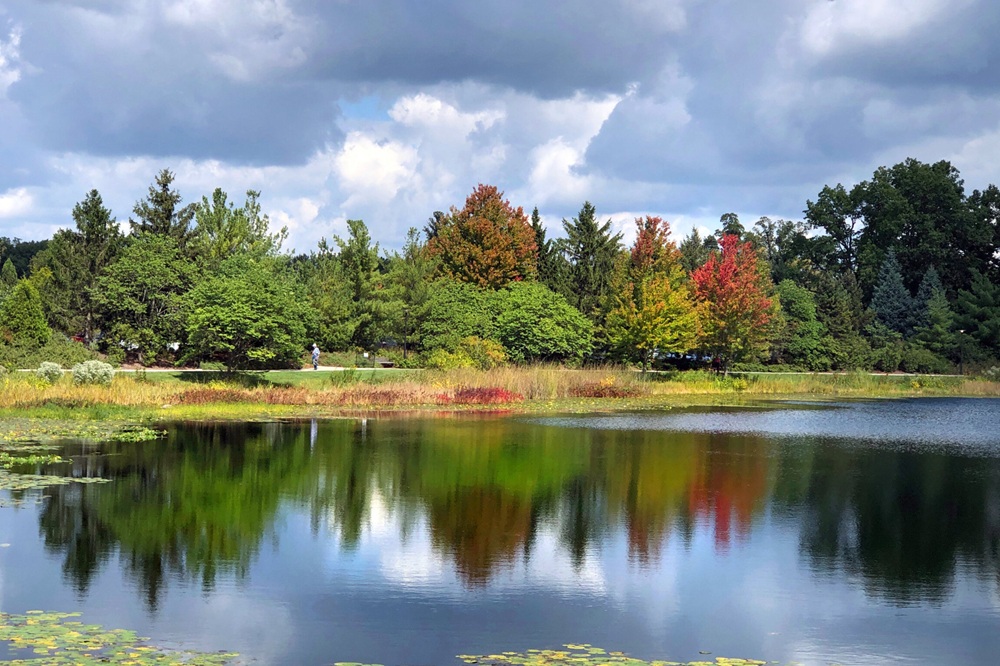 The Morton Arboretum
