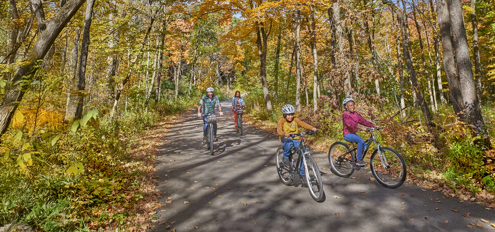 The Morton Arboretum