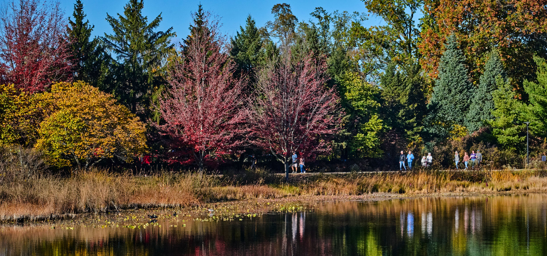 The Morton Arboretum