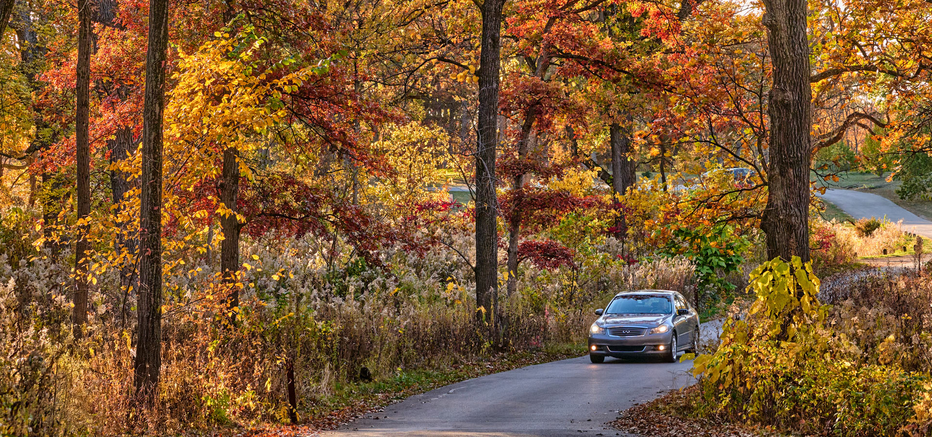The Morton Arboretum