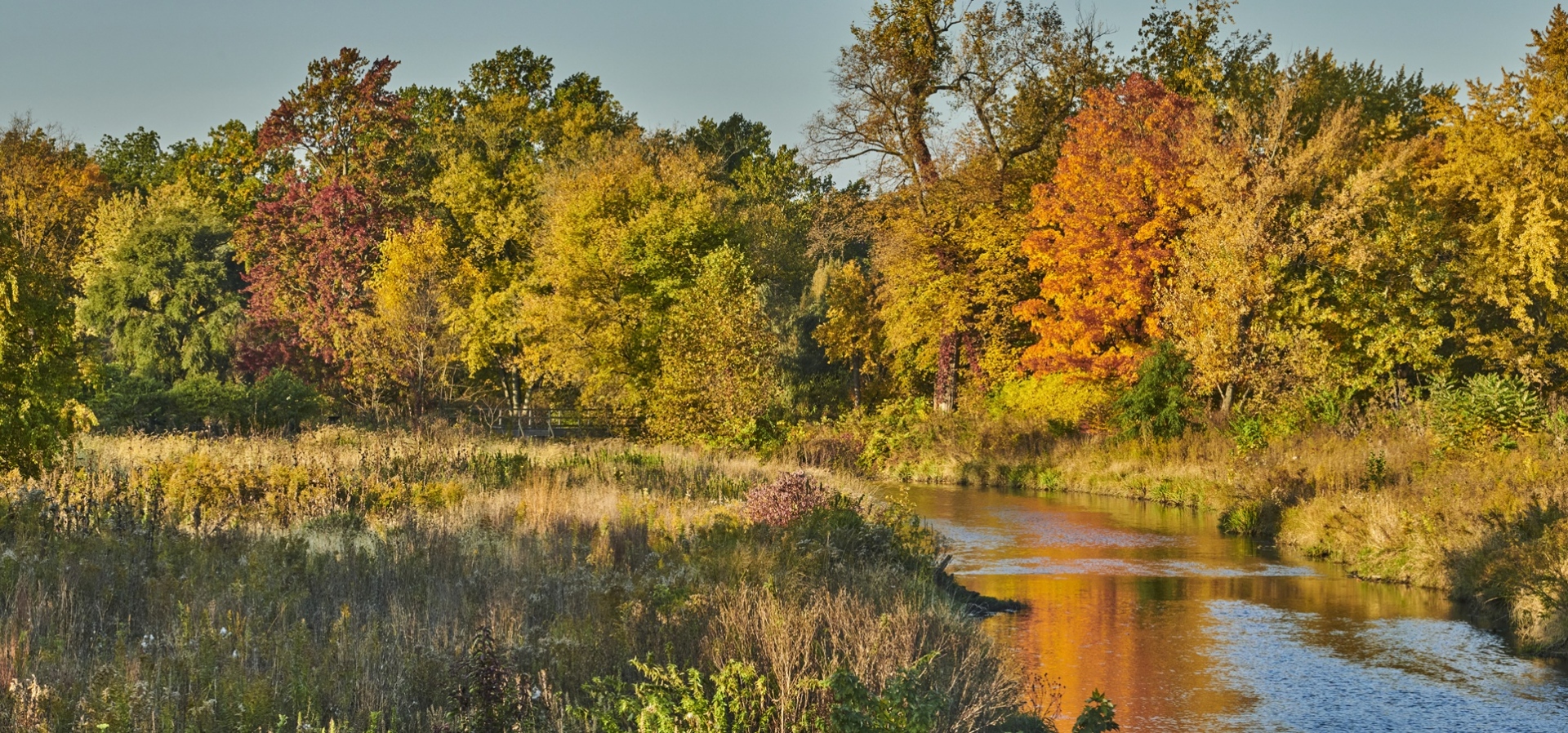 The Morton Arboretum