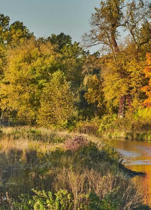 The Morton Arboretum