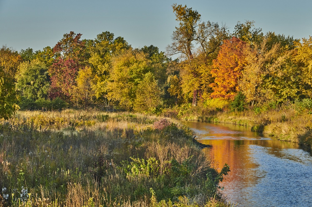 The Morton Arboretum