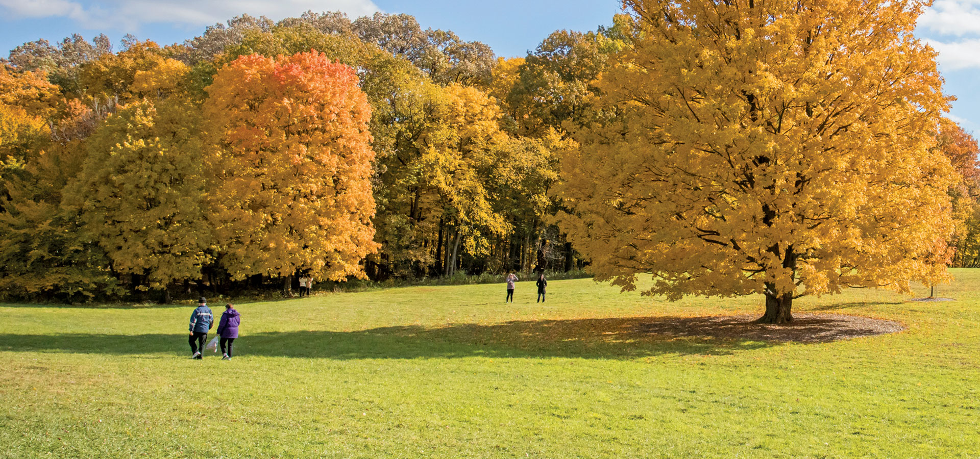The Morton Arboretum