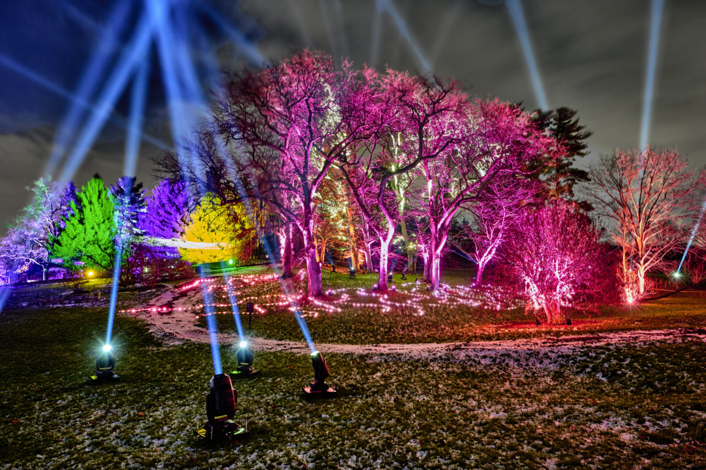 The Morton Arboretum