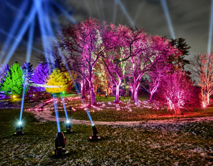 The Morton Arboretum