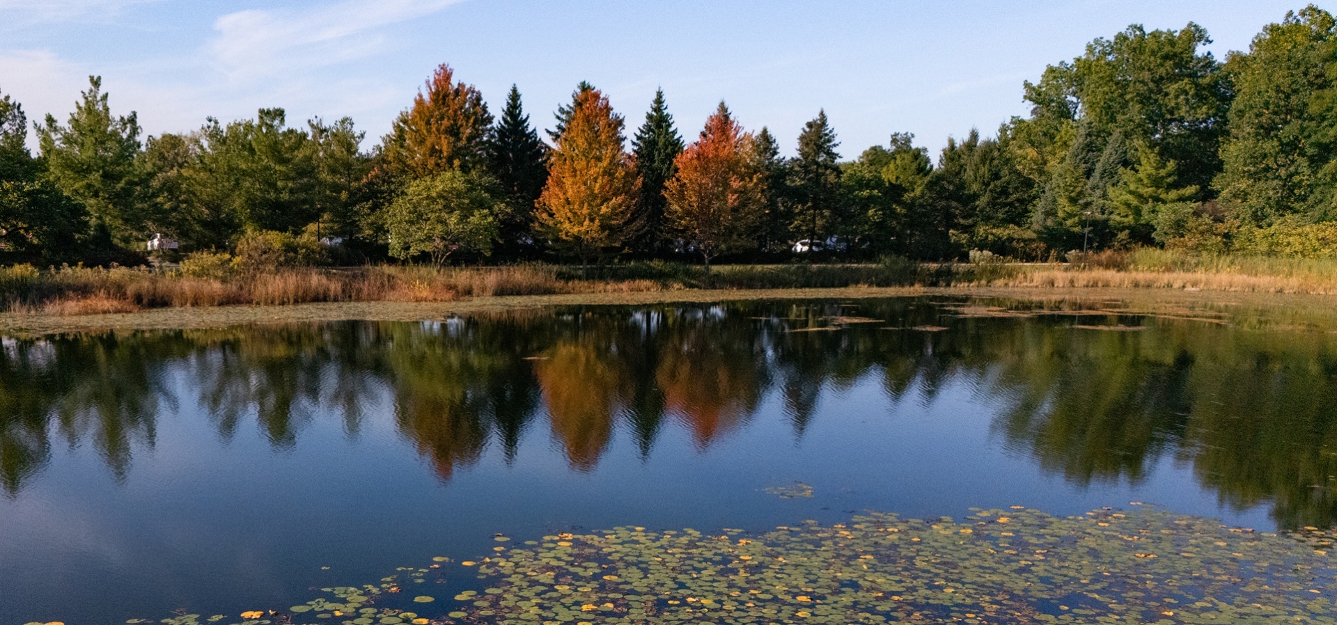 The Morton Arboretum