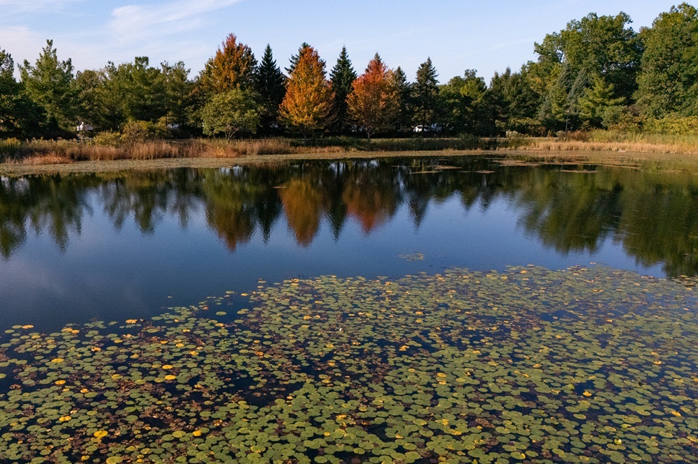 The Morton Arboretum