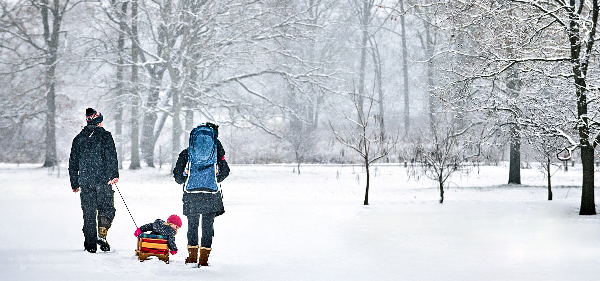 The Morton Arboretum