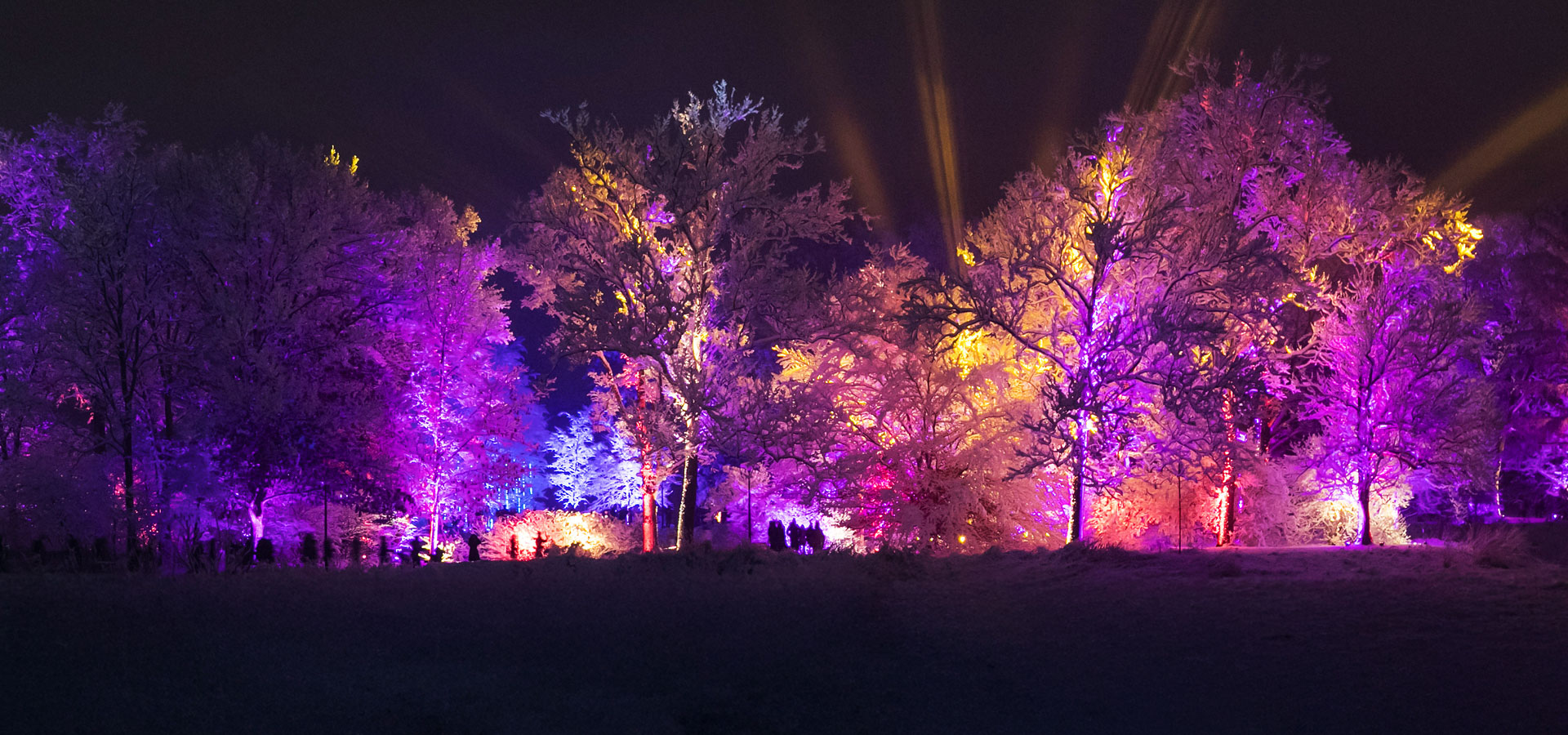 The Morton Arboretum