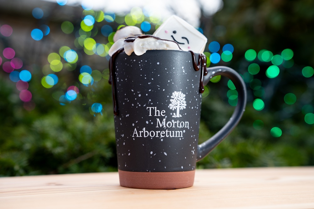 The Morton Arboretum