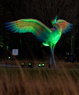 The Morton Arboretum