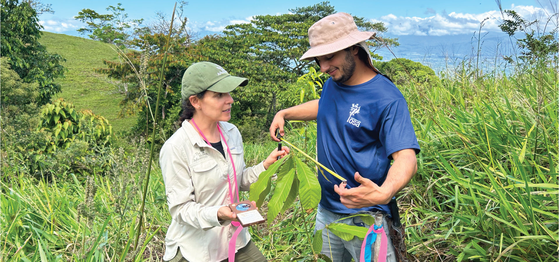 The Morton Arboretum