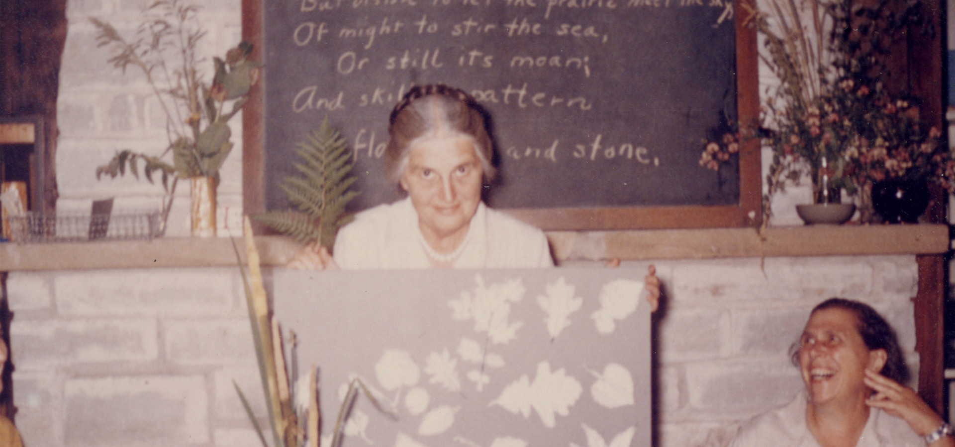 The Morton Arboretum