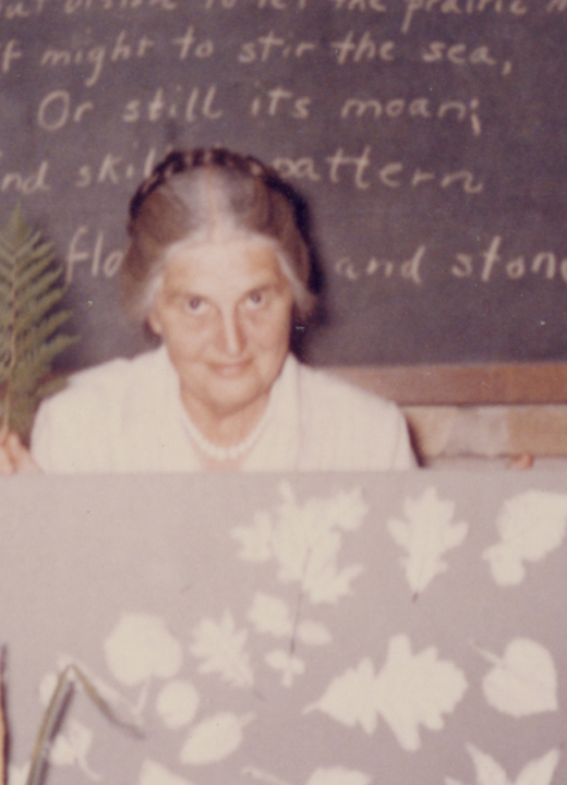 The Morton Arboretum