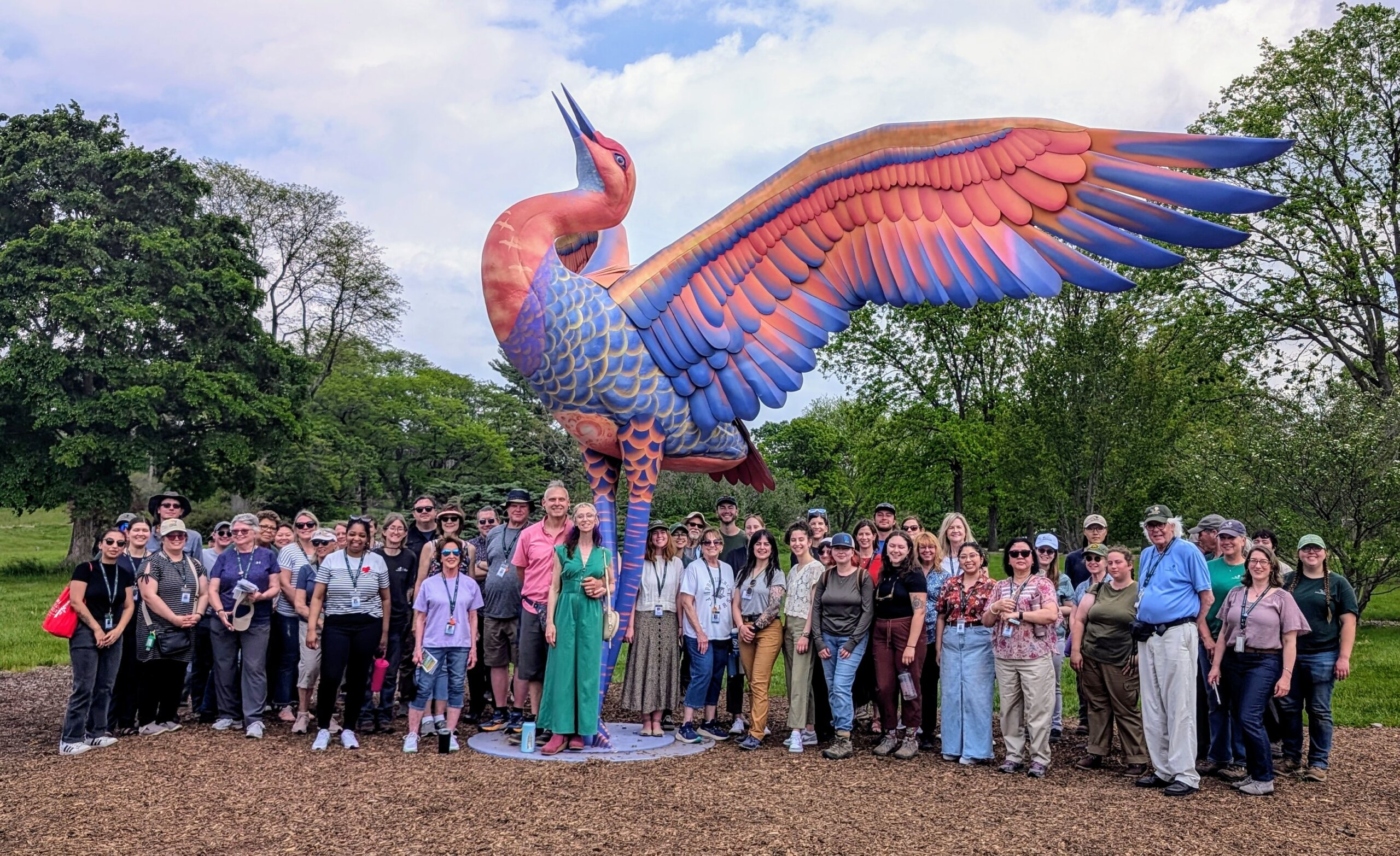 The Morton Arboretum