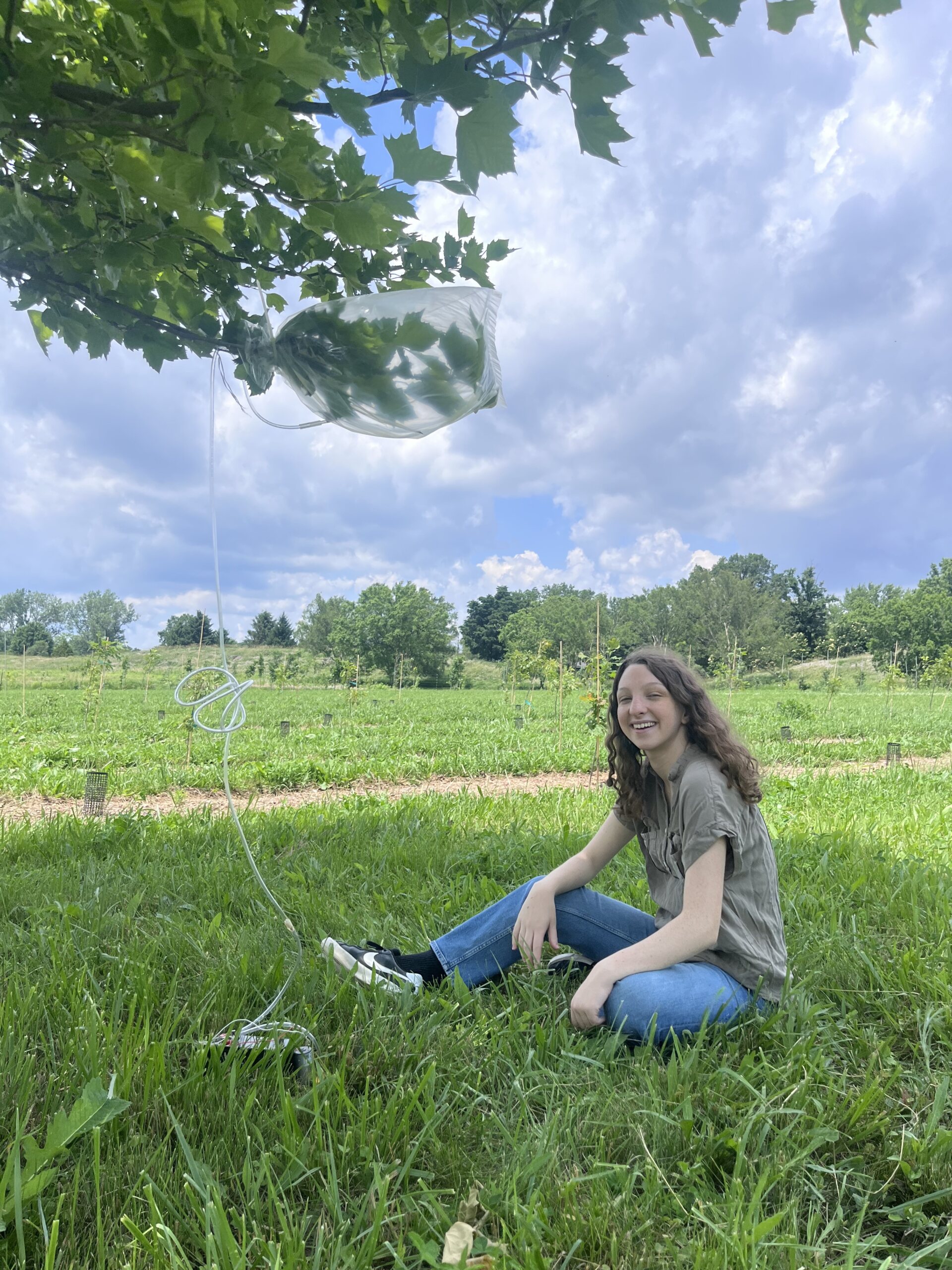 The Morton Arboretum
