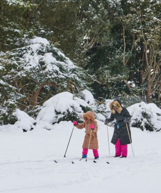 The Morton Arboretum