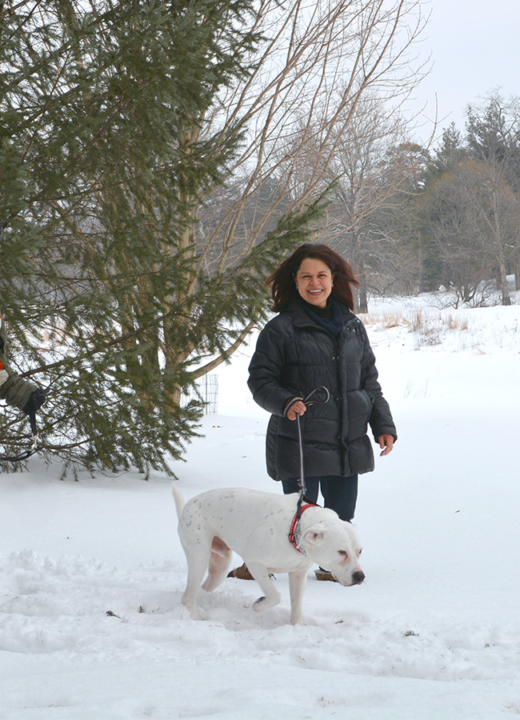 The Morton Arboretum