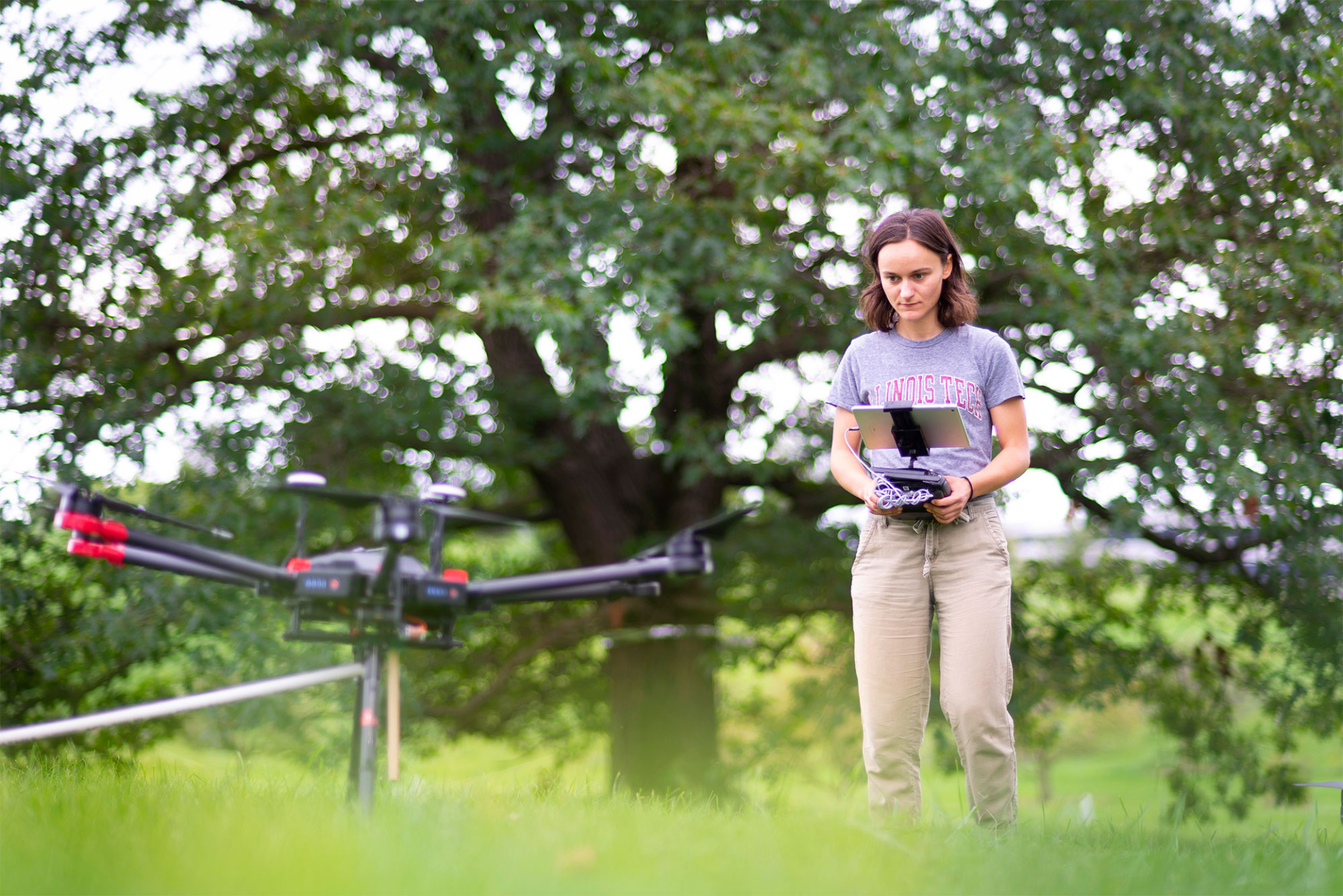 The Morton Arboretum