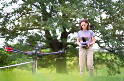 The Morton Arboretum