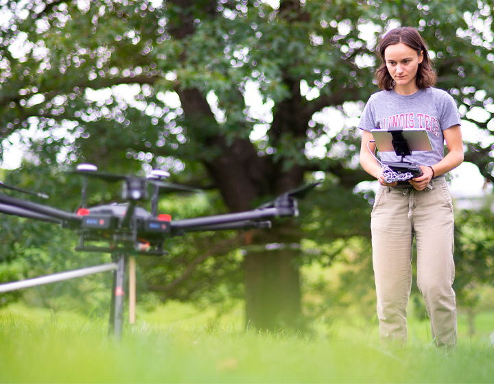 The Morton Arboretum