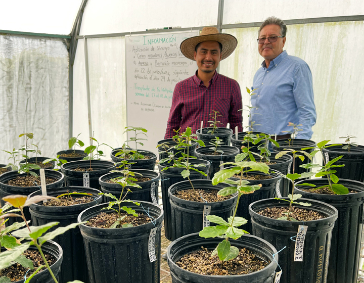 The Morton Arboretum