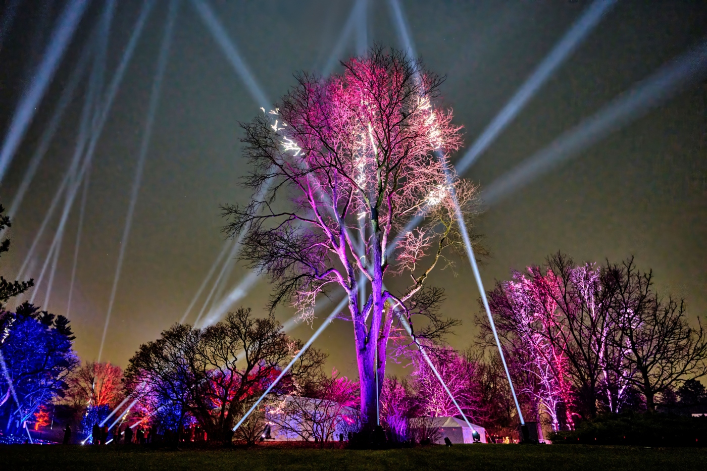 The Morton Arboretum