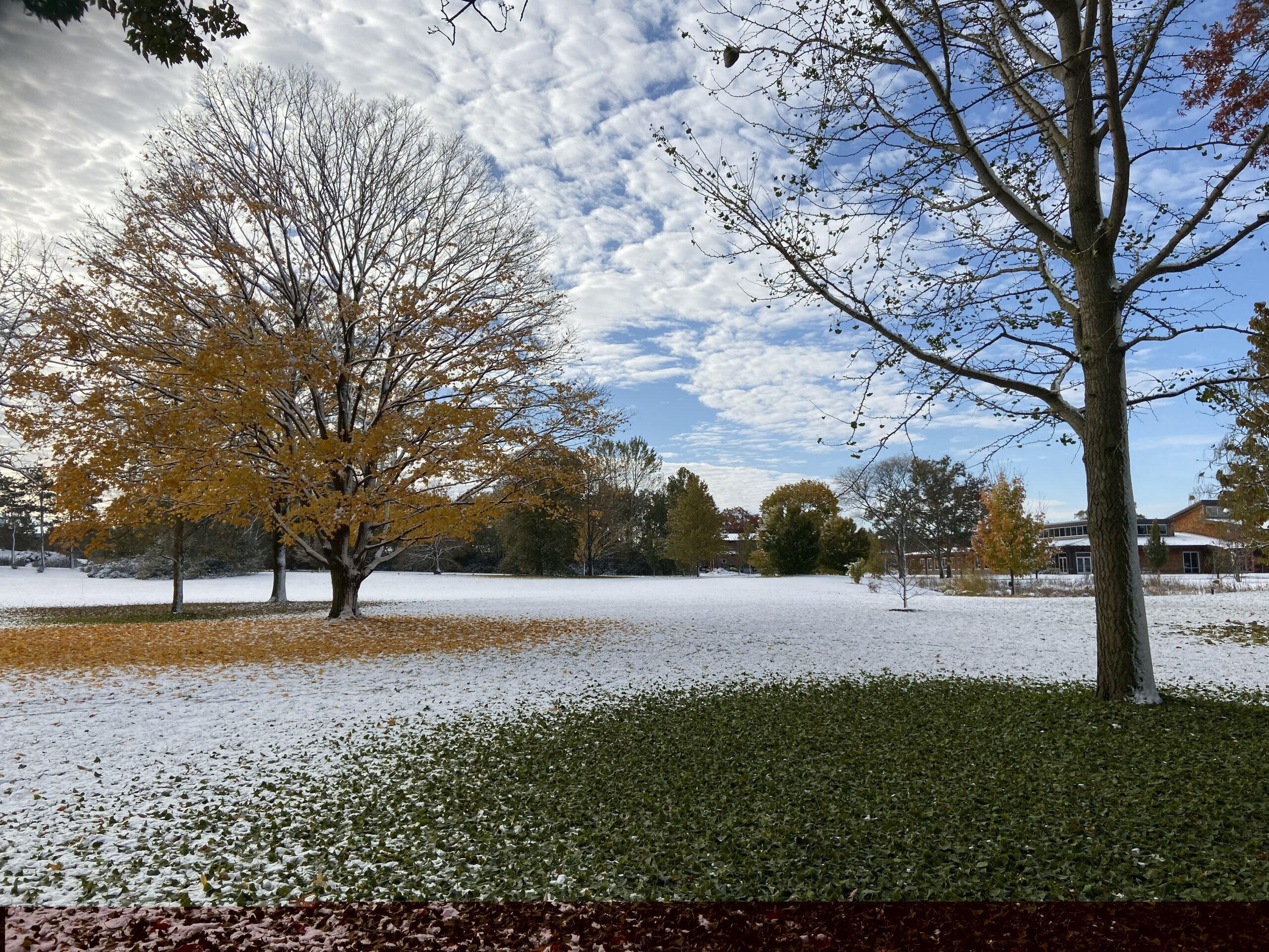 The Morton Arboretum
