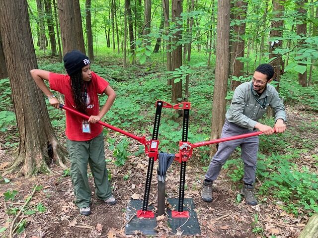 The Morton Arboretum