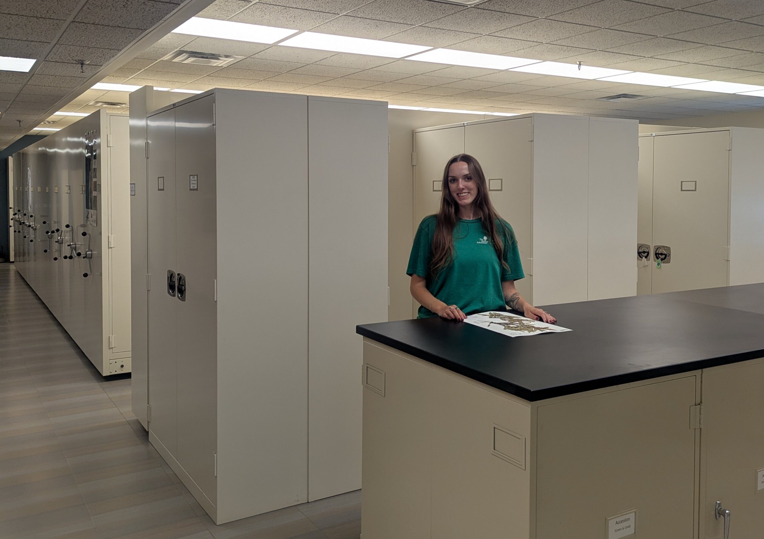 The Morton Arboretum