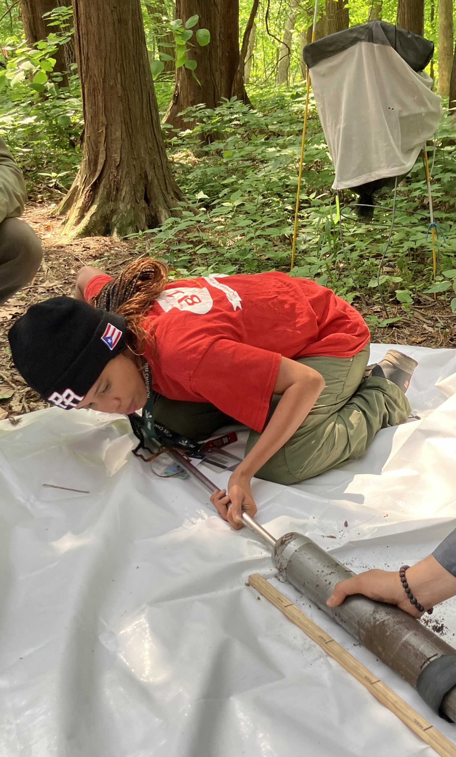 The Morton Arboretum