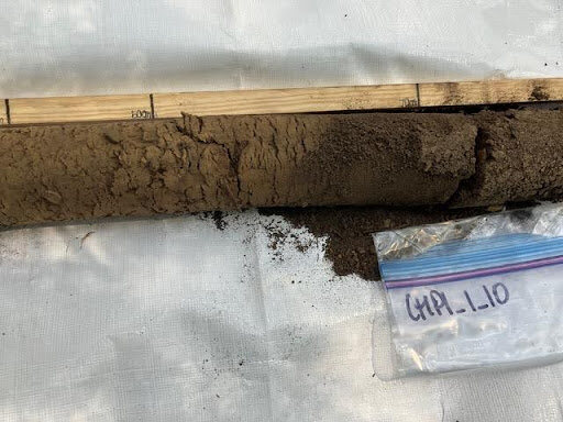 The Morton Arboretum