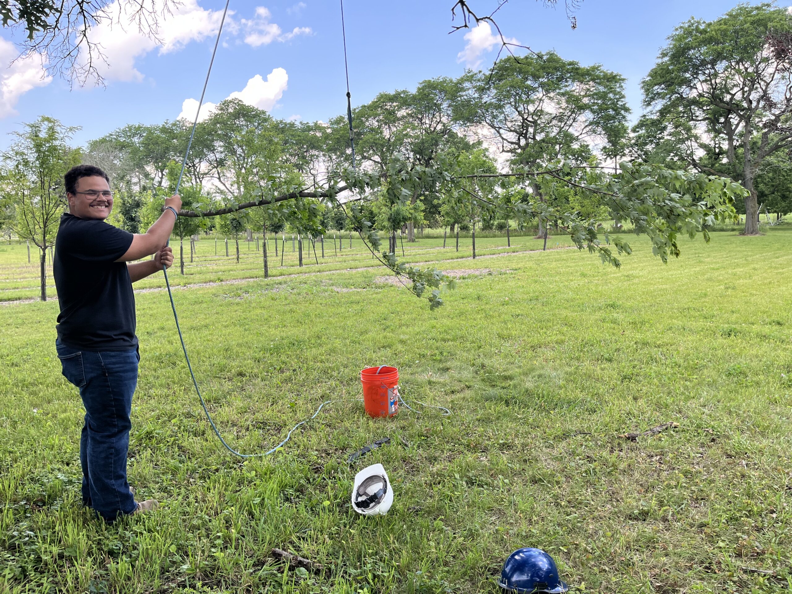 The Morton Arboretum
