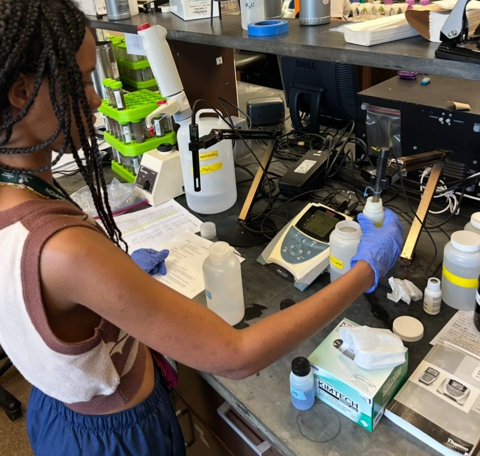 The Morton Arboretum