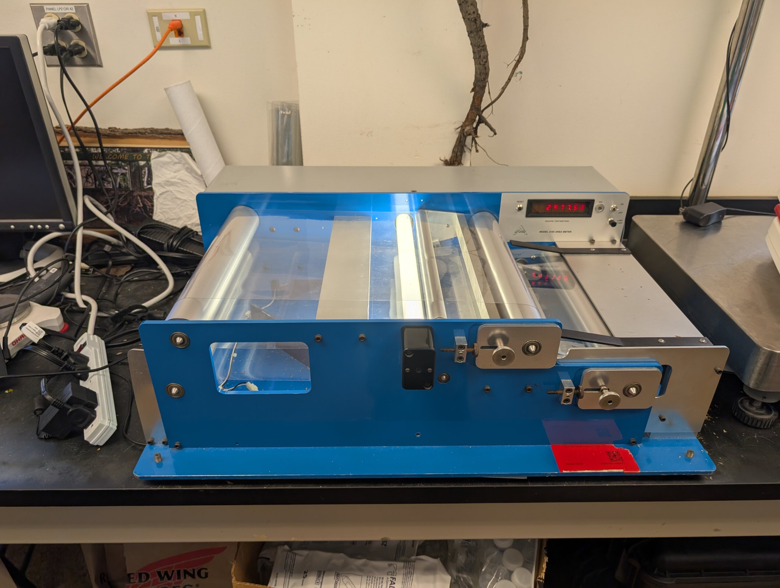 The Morton Arboretum