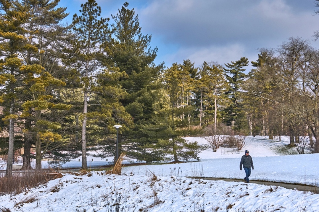 The Morton Arboretum